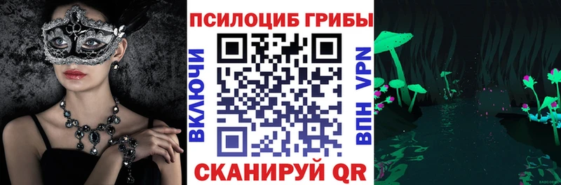 Псилоцибиновые грибы Psilocybe  Архангельск 